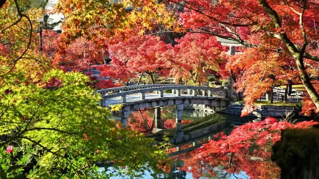 kyoto20023 | Cadventura Ginkaku ji