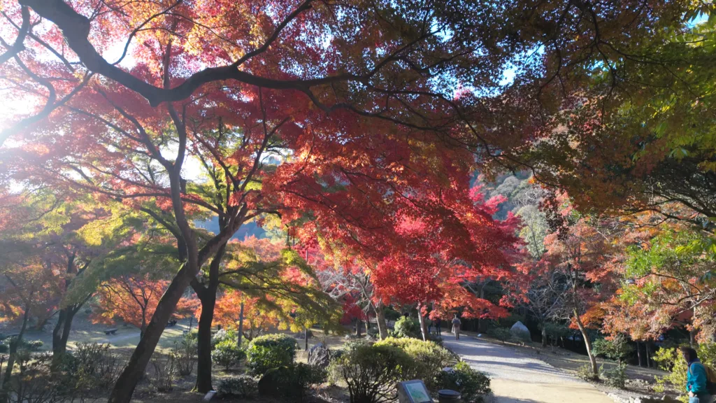 arashiyama park | Cadventura